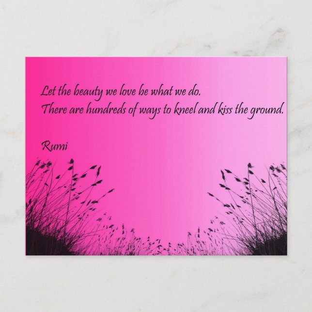 Kiss The Ground Postcard (Front)