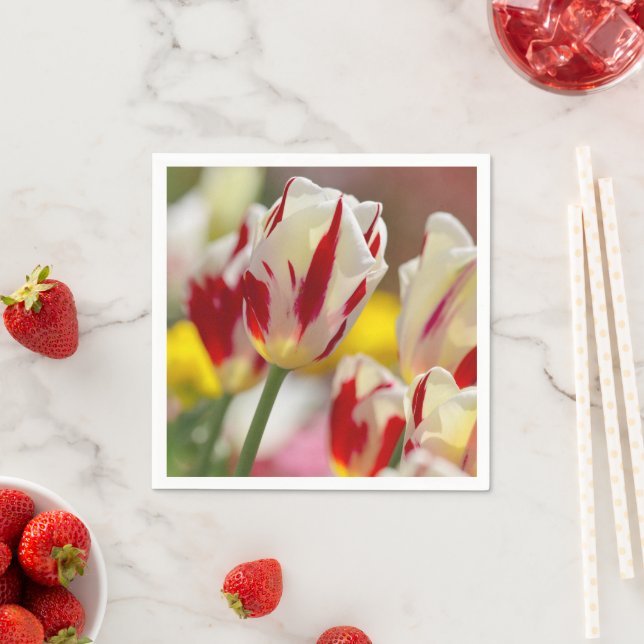 Kissed with Red  Napkin (Insitu)