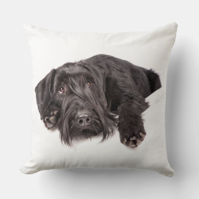 Kissen Riesenschnauzer Cushion (Front)