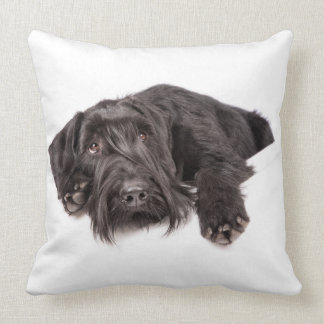 Kissen Riesenschnauzer Cushion
