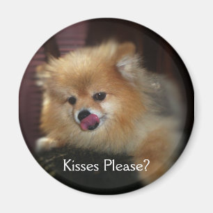Kisses Please? Magnet