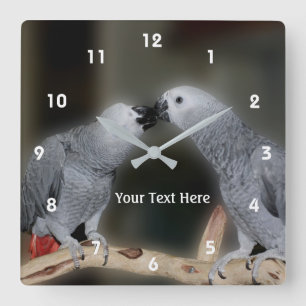 Kissing African Grey Parrots Animal Square Wall Clock