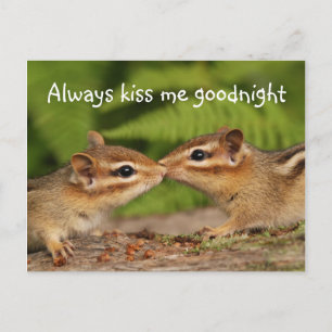 Kissing Baby Chipmunks Postcard