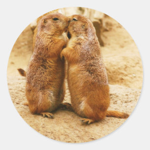 Kissing Black Tailed Prairie Dogs Classic Round Sticker