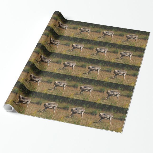 Kissing Butt Donkey Wrapping Paper (Unrolled)