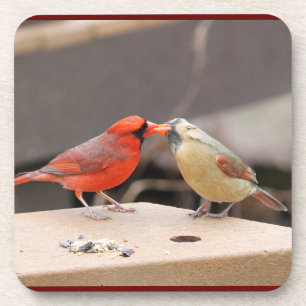 Kissing Cardinals Coaster