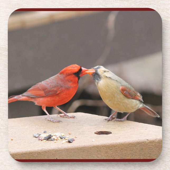 Kissing Cardinals Coaster (Front)