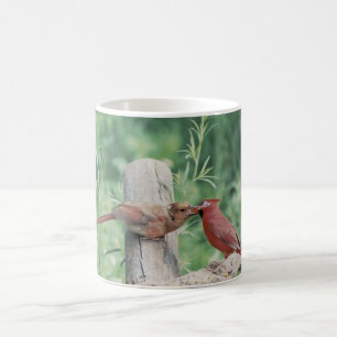 Kissing cardinals coffee mug