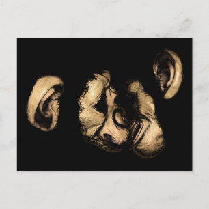 kissing chimps postcard