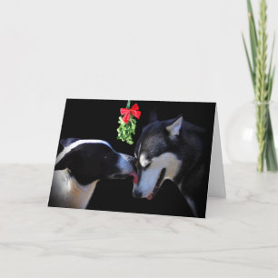 Kissing Dogs Mistiltoe Holiday Card