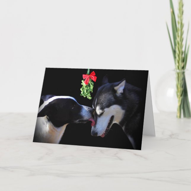Kissing Dogs Mistiltoe Holiday Card (Front)