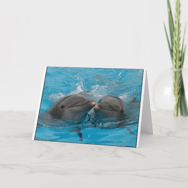Kissing Dolphins Card (Front)