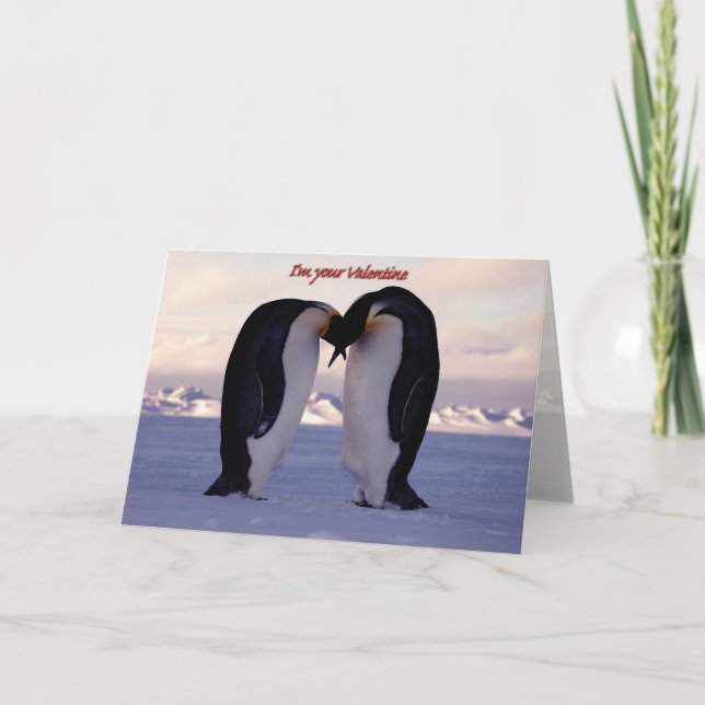 Kissing Emperor Penguin Valentine'... Holiday Card (Front)