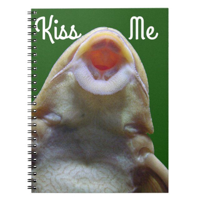 Kissing Fish Notebook (Front)