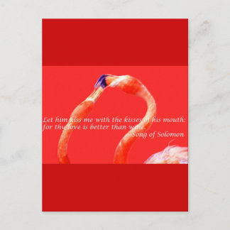 Kissing Flamingos Postcard