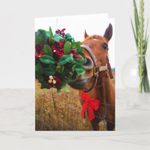 Kissing Horse under Mistletoe Holiday Card