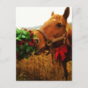 Kissing Horse under Mistletoe Postcard