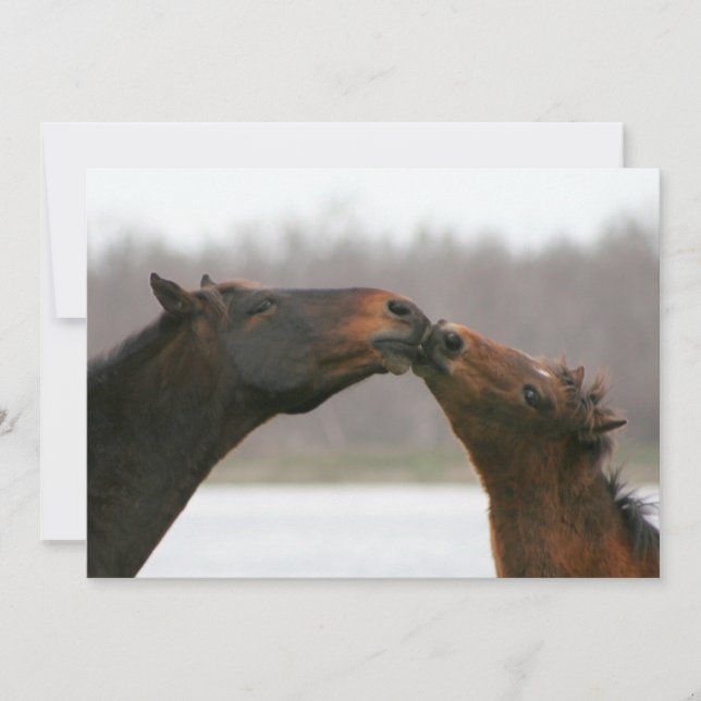 Kissing Horses Blank Card (Front)