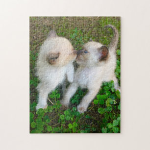 kissing kittens jigsaw puzzle