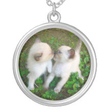 kissing kittens