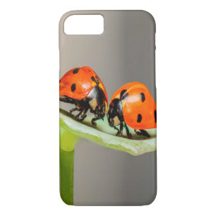 Kissing Ladybugs iPhone 8/7 Case