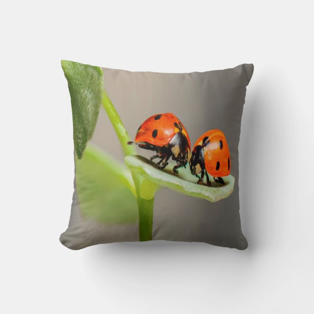Kissing Ladybugs Cushion (Front)