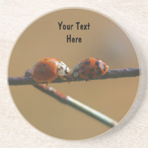 Kissing Ladybugs Cute Nature Drink Coaster