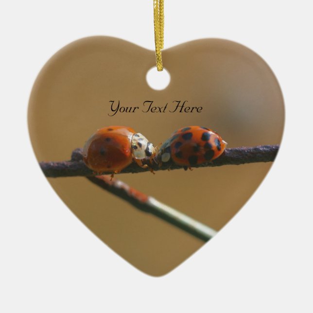 Kissing Ladybugs Cute Nature Ornament (Front)