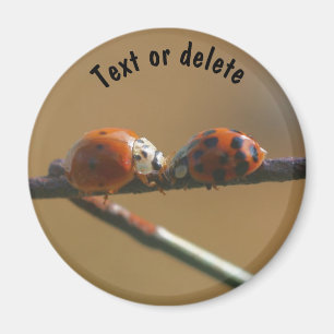 Kissing Ladybugs Nature Personalized Magnet