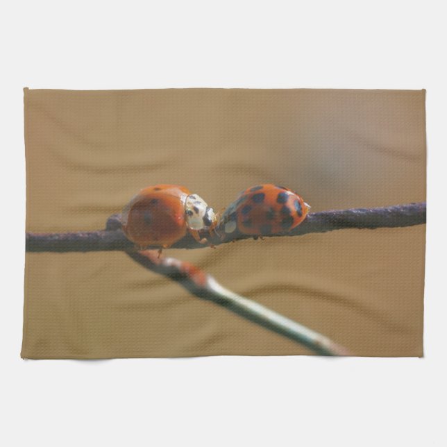 Kissing Ladybugs On A Wire Fence Close Up  Tea Towel (Horizontal)
