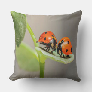 Kissing Ladybugs Outdoor Cushion