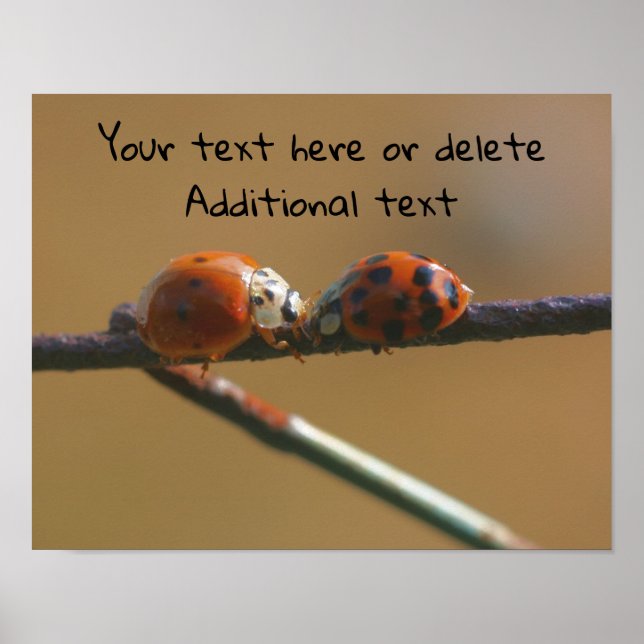 Kissing Ladybugs Personalised Poster (Front)