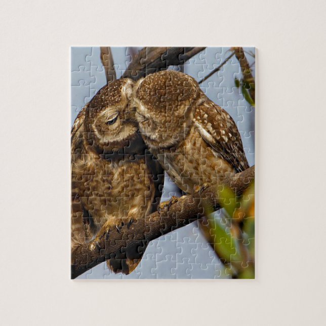 Kissing Owls Jigsaw Puzzle (Vertical)