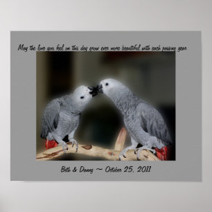 Kissing Parrots Cute Wedding Gift Poster