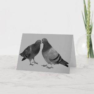 Kissing Pigeons Greeting Card