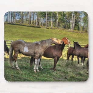Kissing Pinto Stallion & Sorrel Mare Equine Photo Mouse Pad
