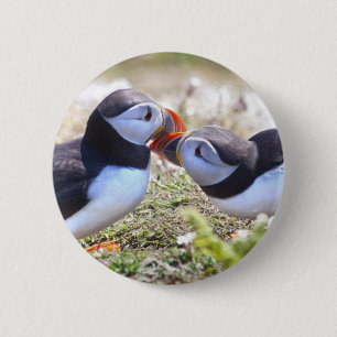 Kissing Puffins Badge