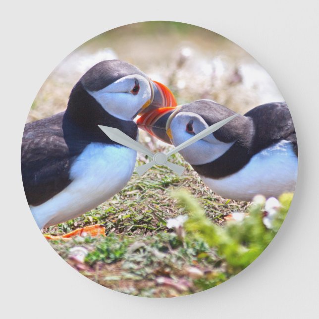 Kissing Puffins Clock (Front)