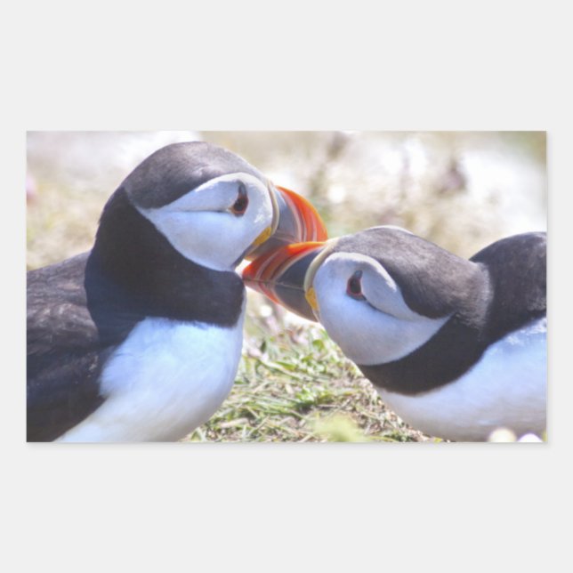 Kissing Puffins Sticker (Front)