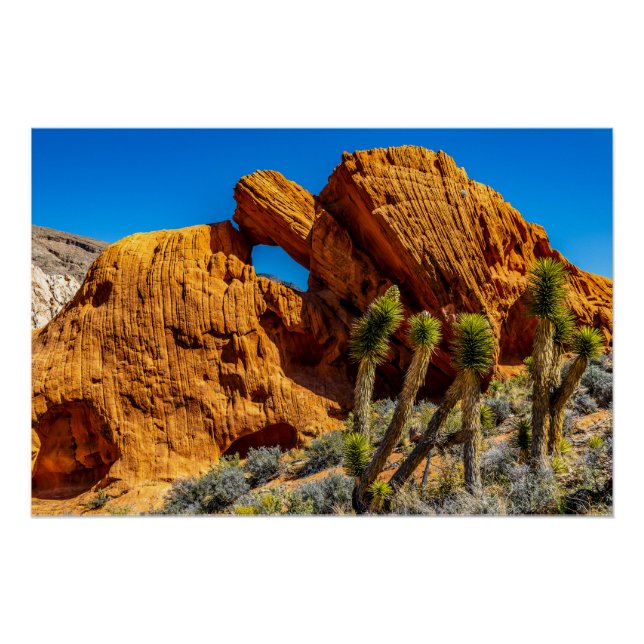 Kissing Turtle Rock Glossy Poster (Front)