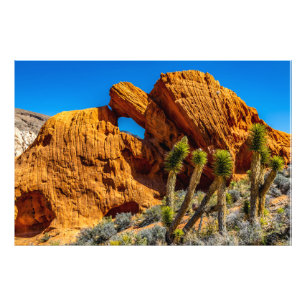 Kissing Turtle Rock Photo Print