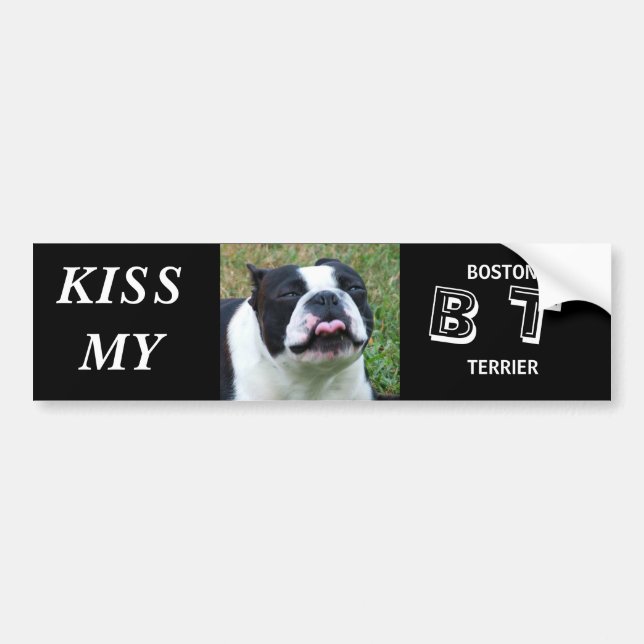 KISSMY, B T-2 BUMPER STICKER (Front)