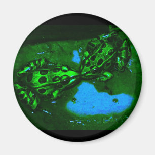 kissy frogs magnet