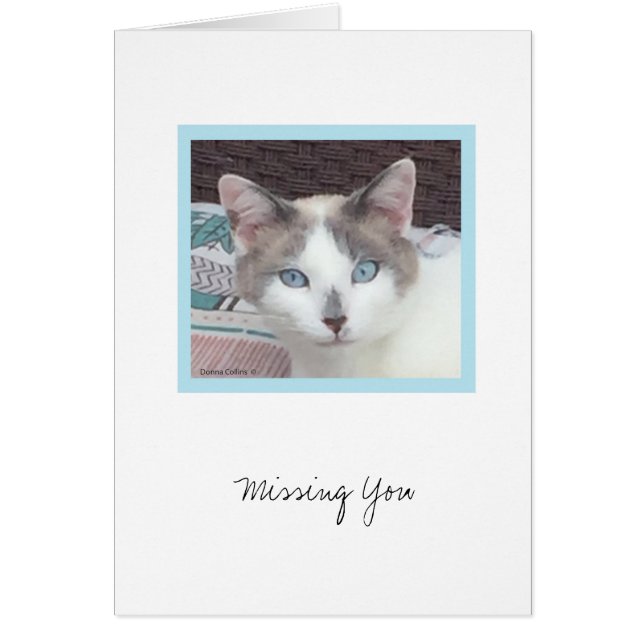 Kit Kit Collection #3 Note Card (Front)