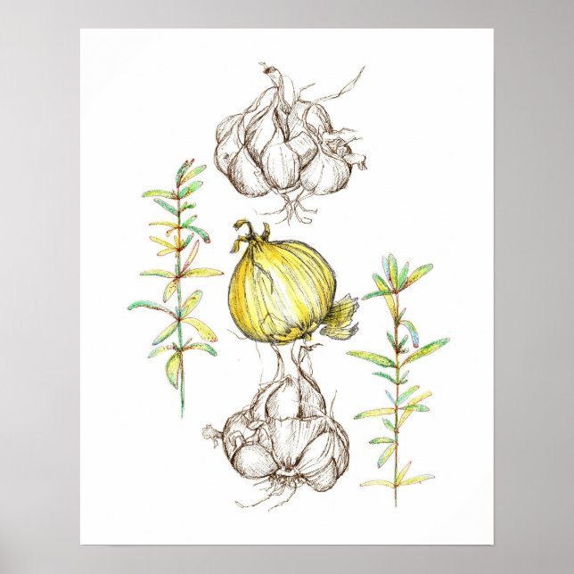 Kitchen Art Onions Garlic Rosemary Herb Drawing Poster (Front)