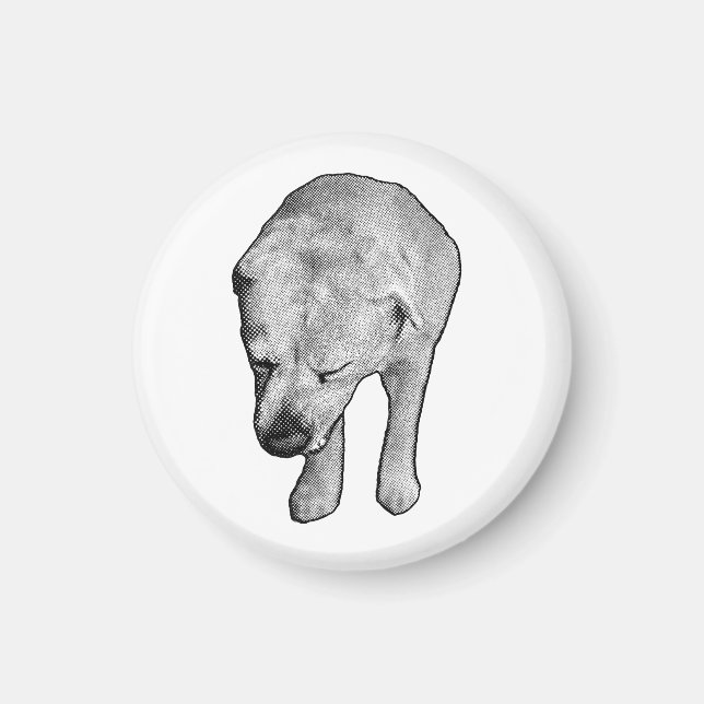 Kitchen Gallery: Lab with Snow Dots Magnet (Front)