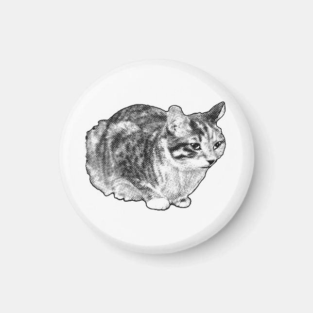 Kitchen Gallery: Tabby with Snow Dots Magnet (Front)