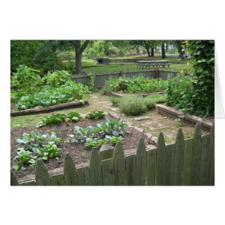 Kitchen Garden II