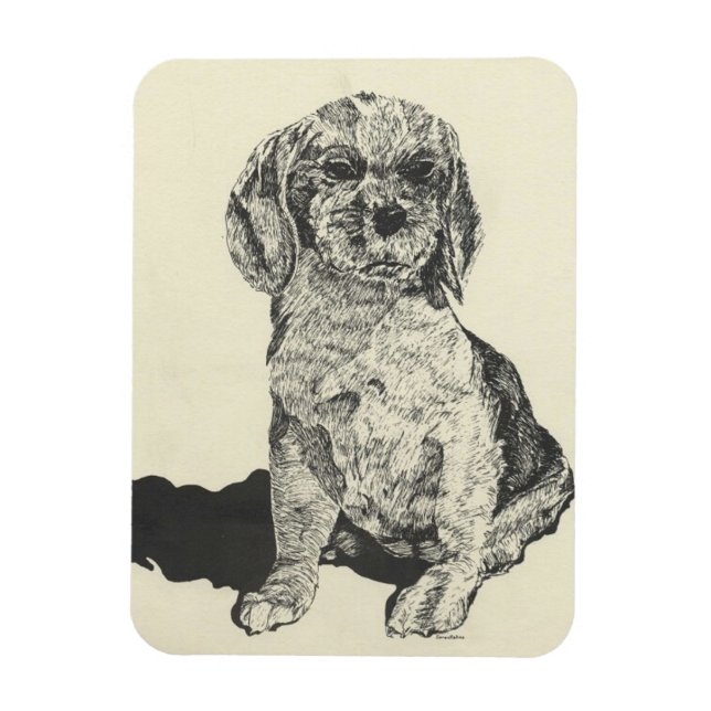 Kitchen Magnet , Cocker Spaniel (Vertical)