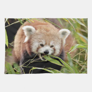kitchen towel Photo red panda , animals 0337.